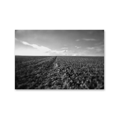 # Plaine Terrain de champ en noir et blanc, avec une ligne d'horizon floue à l'arrière-plan.